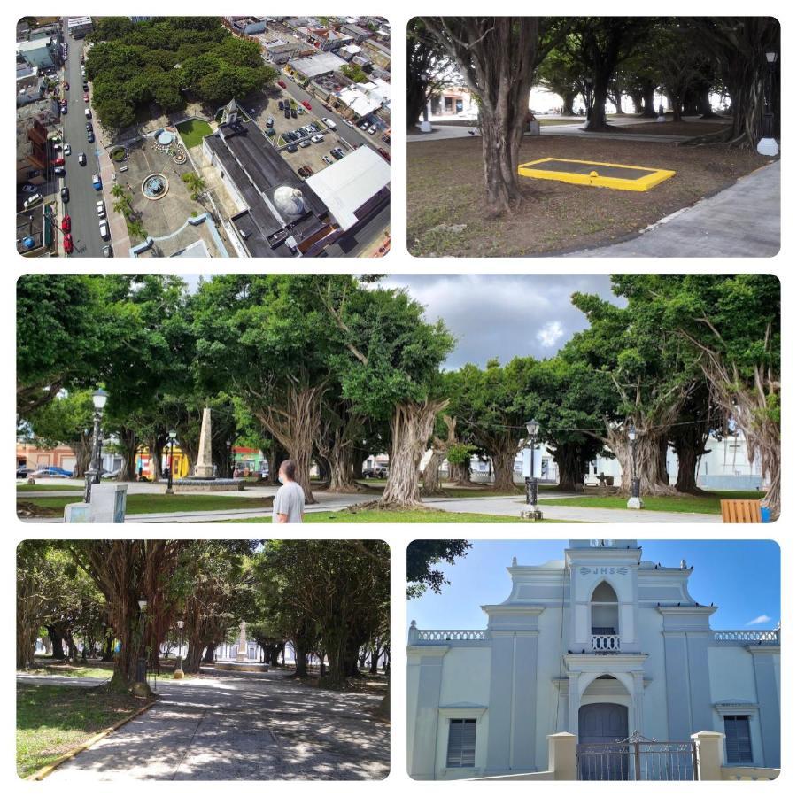 Lacasitadelmalecon Naguabo Esterno foto